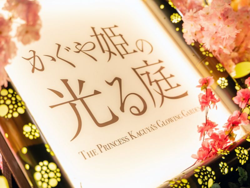 最高発色！光にかざすとキラキラ輝く！高品質ハニーフローライト14ミリ内径16.5 ツアー詳細 | 株式会社KASSE JAPAN(カッセジャパン)